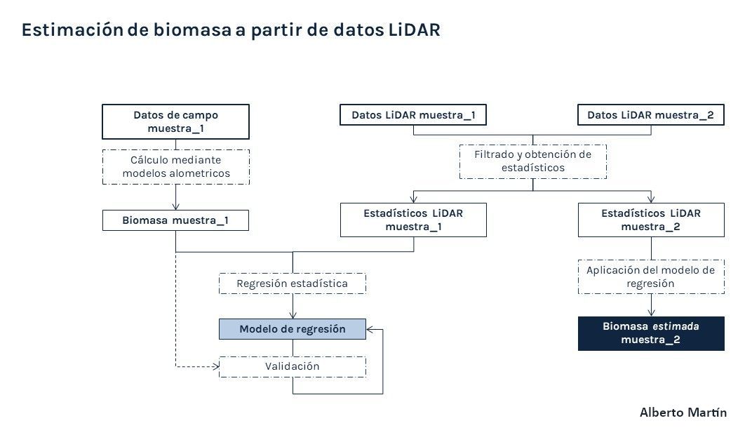 Estimación de biomasa a partir de datos LiDAR. Esquema de la metodología Estimación de biomasa a partir de datos LiDAR. Esquema de la metodología