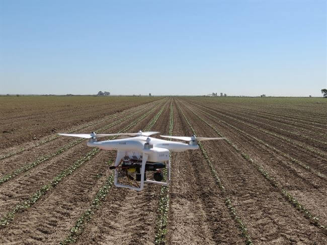 Dron aplicado a la agricultura de precisión. Foto Universidad de Sevilla