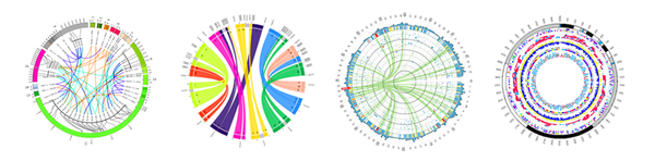 Ejemplos de gráficas usando Circos Ejemplos de gráficas usando Circos
