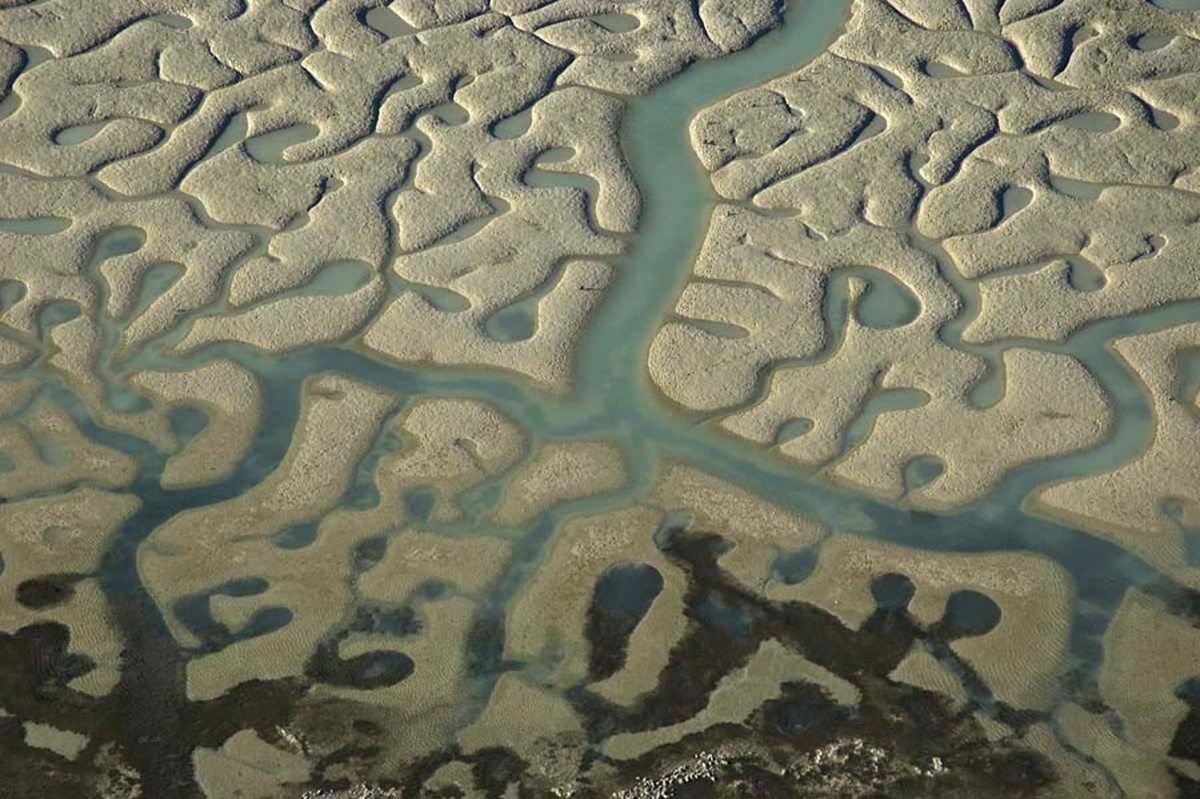 Isla del Trocadero en Puerto Real. Una foto de Héctor Garrido Isla del Trocadero en Puerto Real. Una foto de Héctor Garrido